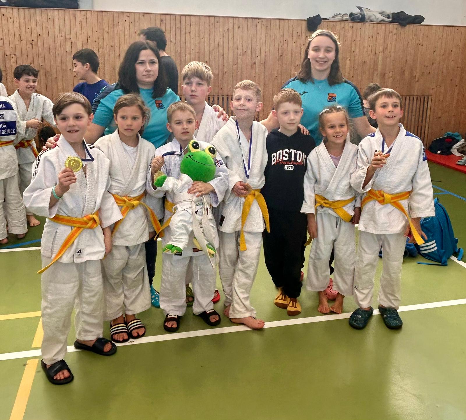 7 medailí ze Sušice